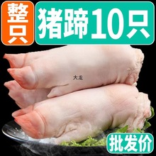 新鲜现杀猪蹄子整只带筋猪脚猪爪生猪蹄前蹄农家散养速冻生鲜猪