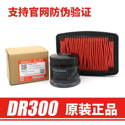 Haojue DR250 TR300 XCR motosiklet hava filtri yağı filtri