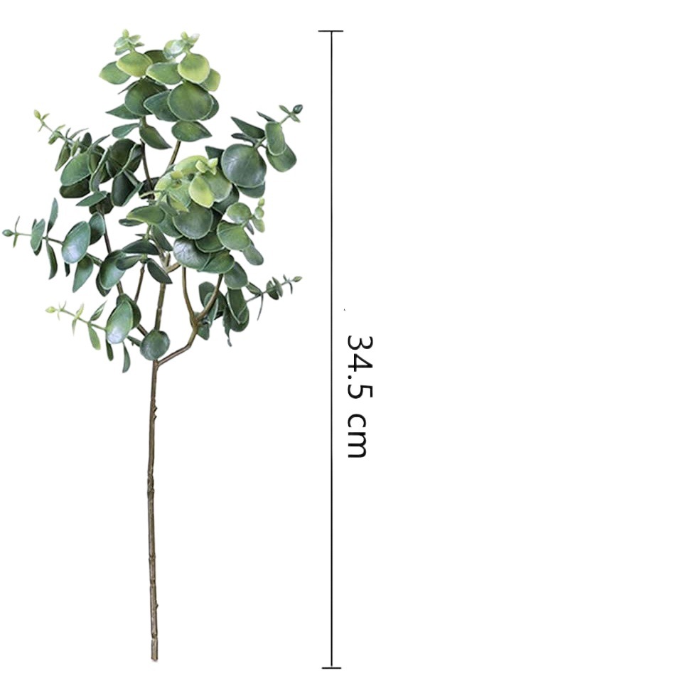 Pieza única de simulación exclusiva transfronteriza con arreglo floral decorativo de eucalipto de frutas hojas de eucalipto Rama corta con fabricante de hojas de dinero de frutas