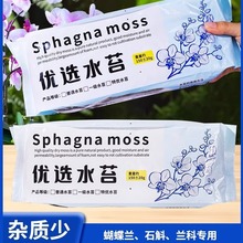 水苔干苔藓青苔天然压缩兰花盆栽多肉植物种植基质宠物爬虫垫材料