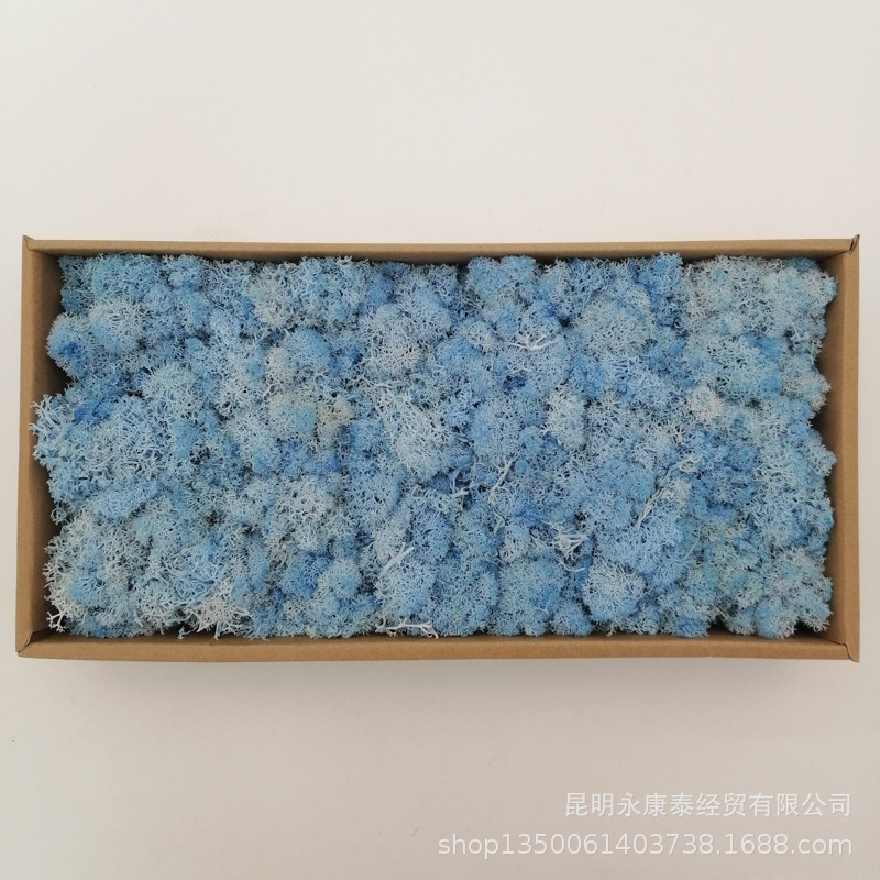 Musgo al por mayor de musgo peso neto 200g caja de regalo flores de musgo eternas accesorios para el hogar tiro ventas directas de la fábrica