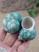 ����ؐ��С���ݾG�ݼľ�з��Q���~���b[���ֹ�diy���