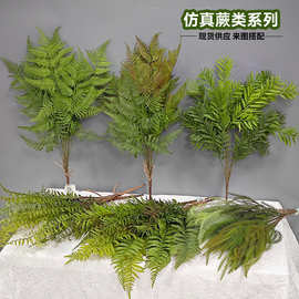 现货仿真蕨类绿植波斯草植物蕨叶蕨草软胶墙装饰地排仿真花