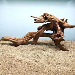 沈木紫柚木ホトトギスと根紅木根彫刻サンゴ木水槽造景装飾エビ木亀日焼け台
