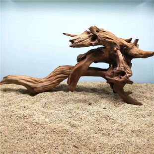 Dark Wood purple teak Azalea with rosewood root carving coral fish tank landscaping decoration shrimp wood turtle sunstand