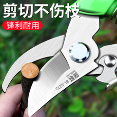 Gardening Pruning Shears, Landscape Pruning Shears, Flower Art Pruning Shears, Branch Pruning Shears, Fruit Tree Pruning Shears, Flower Branch Pruning Shears, Scissor Pruning Shears, Household Scissors