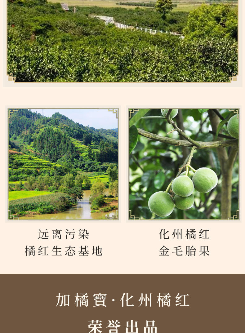 Huazhou Tangerine Peel Hua Ju Hong 20g Canister Dried Citrus Peel for Daily Herbal Tea specifications