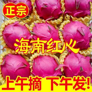 �t�Ļ��������𮔼� �t�����rֱ�������Ꭷˮ�����l����