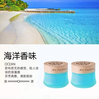 Perfplant seat – eliminator, air freshener, decorative fragrance - ocean-fragrance2-pack