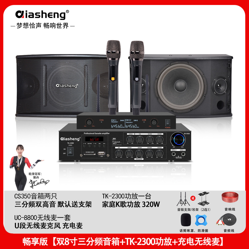 QIASHENG 家庭KTV音响套装卡拉OK点歌机专业音箱全套K歌影院设备|undefined