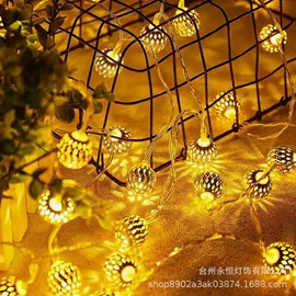 LED装饰灯;室内LED;室外LED