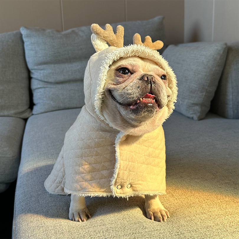 면 더블 레이어 따뜻한 작은 엘크 판초 코트 애완 동물 고양이 개 FA DOU SCHANERY KOJI TEDDY 홈 옷 크리스마스
