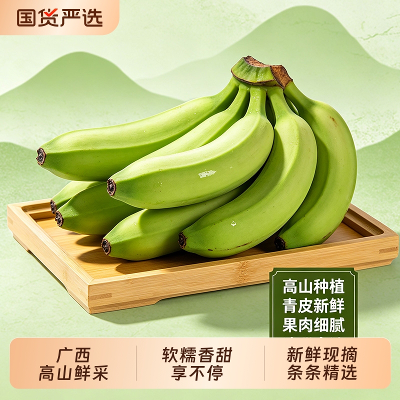 Guangxi Williams Bananas, freshly harvested from the high mountains, direct delivery from the origin. 4.5kg Packaged bananas shipped directly from the origin Guangxi Williams Bananas, freshly harvested from the high mountains, direct delivery from the origin. 4.5kg Packaged bananas shipped directly from the origin