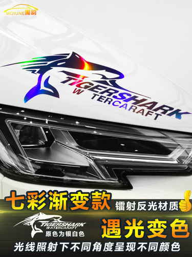 Car sticker headlights eyebrows sticker decoration sticker personalized hood sticker colorful sticker letter sticker floral car sticker
