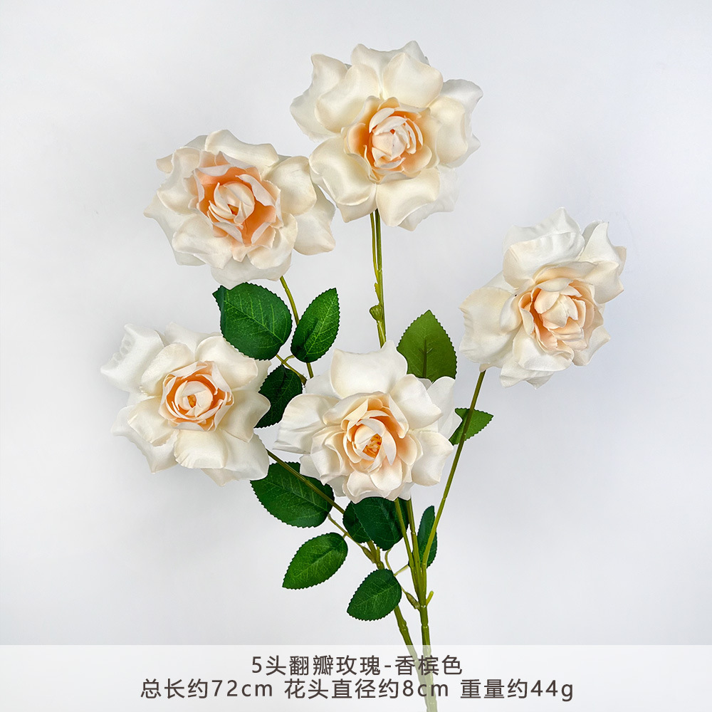MJ-5头翻瓣玫瑰-香槟