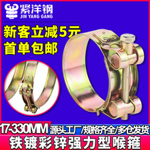 铁镀彩锌强力喉箍加厚卡箍欧式抱箍软管箍管卡不锈钢固定卡子