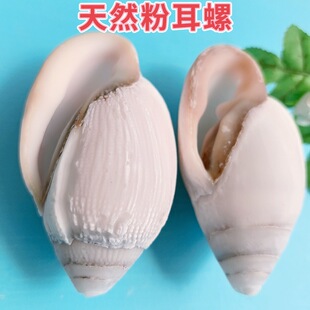 ��Ȼ���϶��ݷ۶���ؐ���~��ˮ���^�쾰�҃Ȕ[���ղ،���