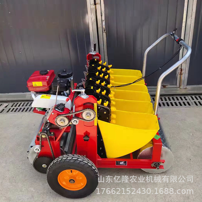 手推式蒜瓣种植机 五行大蒜播种机 家用单行秧蒜点蒜机