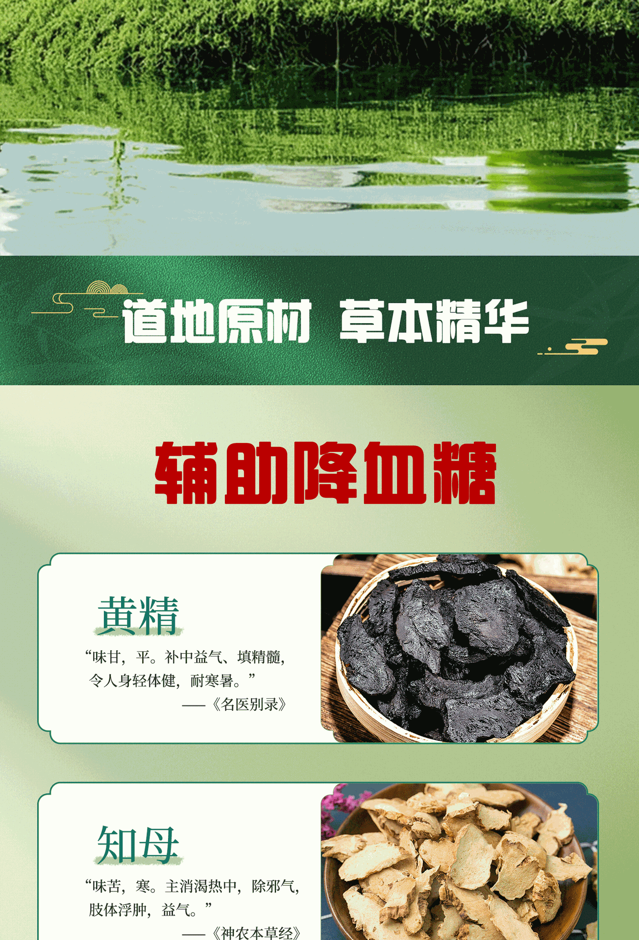 Blood Sugar Support Capsules Ginseng Mulberry Leaf Polygonatum 90 Capsules 0.4g Each specifications
