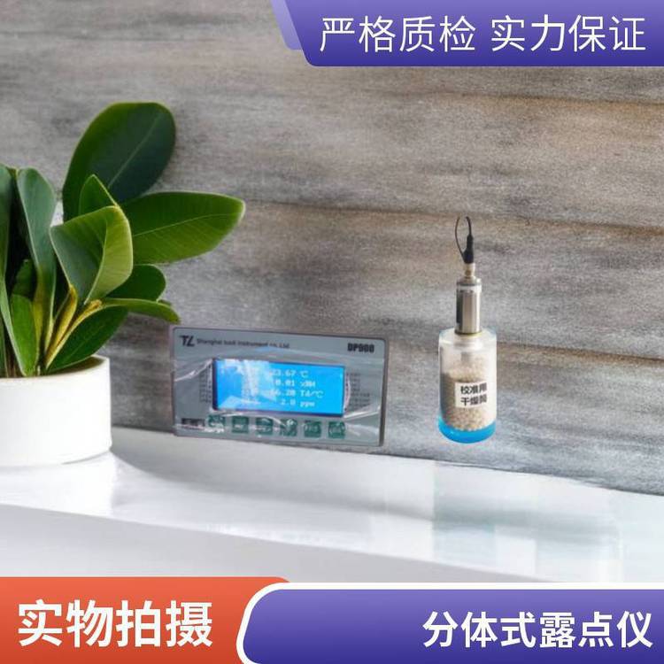 德国希尔斯S520手持式压力露点仪 多种参数可选