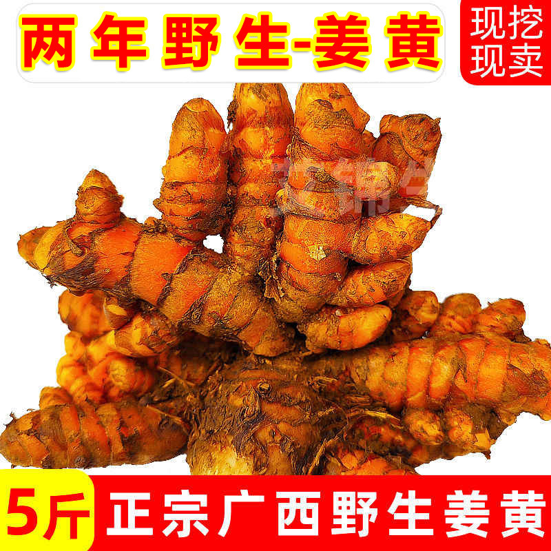 Fresh Wild Turmeric from Guangxi, Fresh Red Ginger, Medicinal Ginger Curry Turmeric for Postpartum Recovery, in Stock with Free Shipping