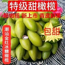 金灶甜种冰糖橄榄新鲜青橄榄果甜鲜橄榄潮汕水果零食生吃甜橄榄