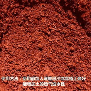 �N���N�� �軨 ���N�� ����÷���� �Nֲ�� һ��10�н�