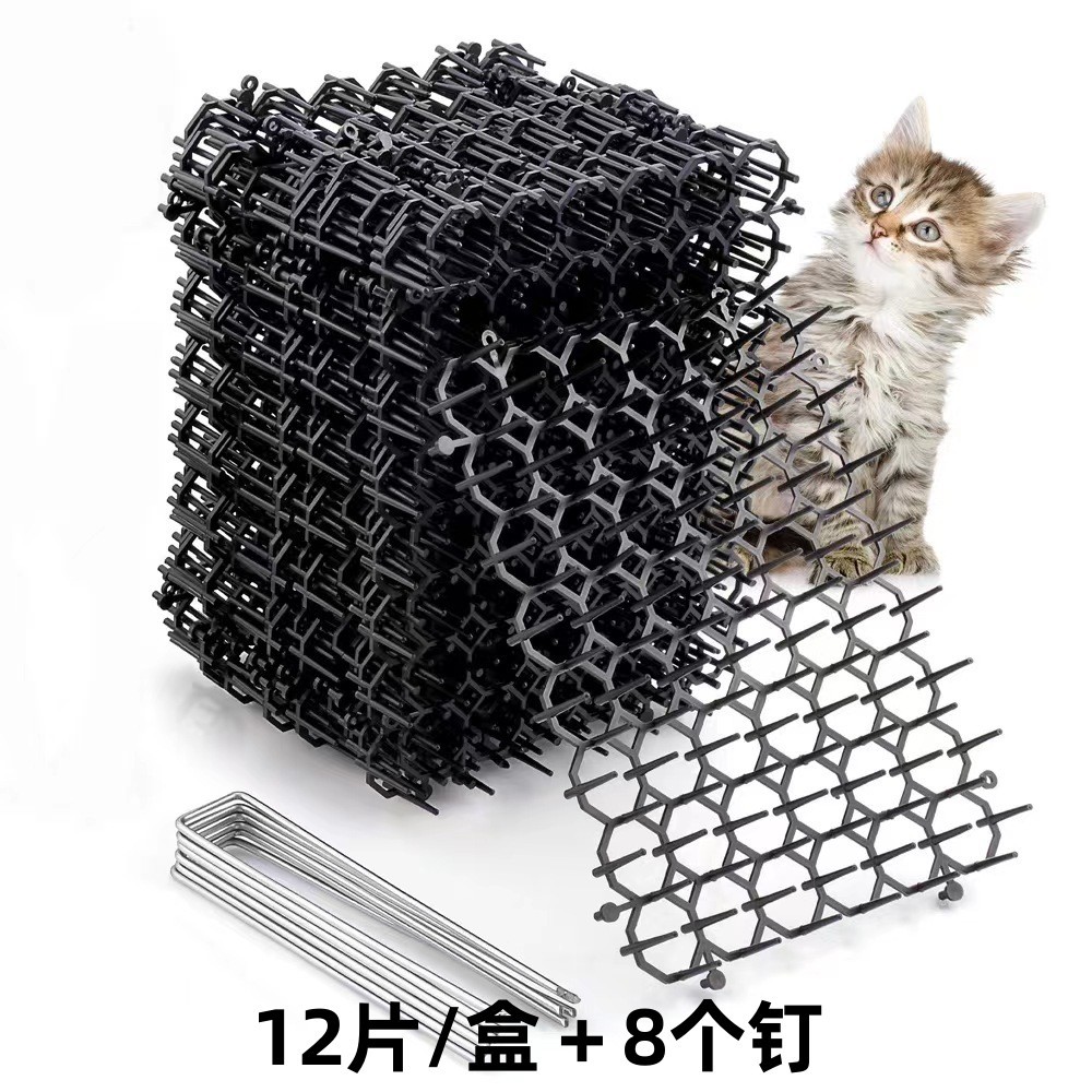 20cm * 15cm (블랙 12/박스 + 8 손톱)