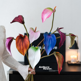 Ī�m��ɫEVA�^��ɏ���滨���T�t�Z�ƻ��Q�����滨�Ҿ��bٻ�