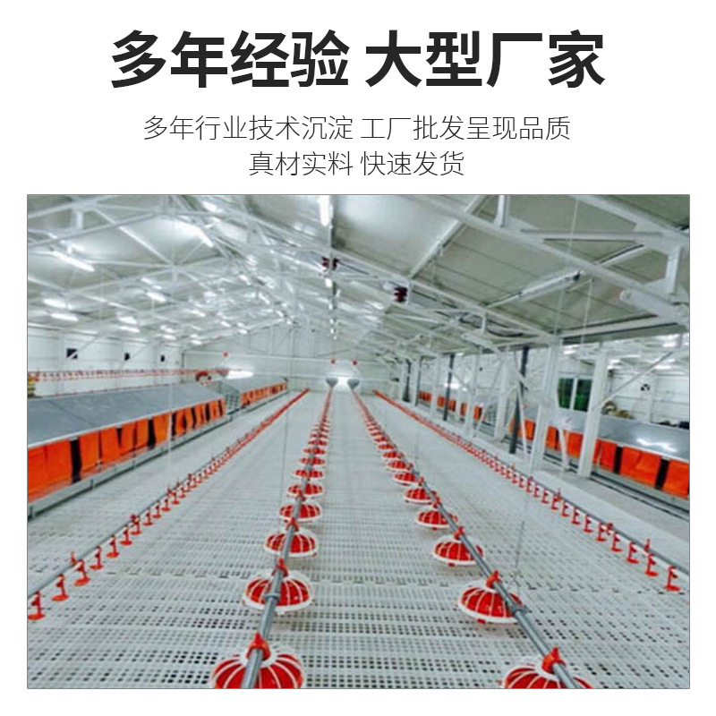 Línea de alimentación automática de gallinas de gallinas de engorde equipos de cría de pollos de engorde línea de agua potable para gallinas de pollo línea de alimentación automática personalizada