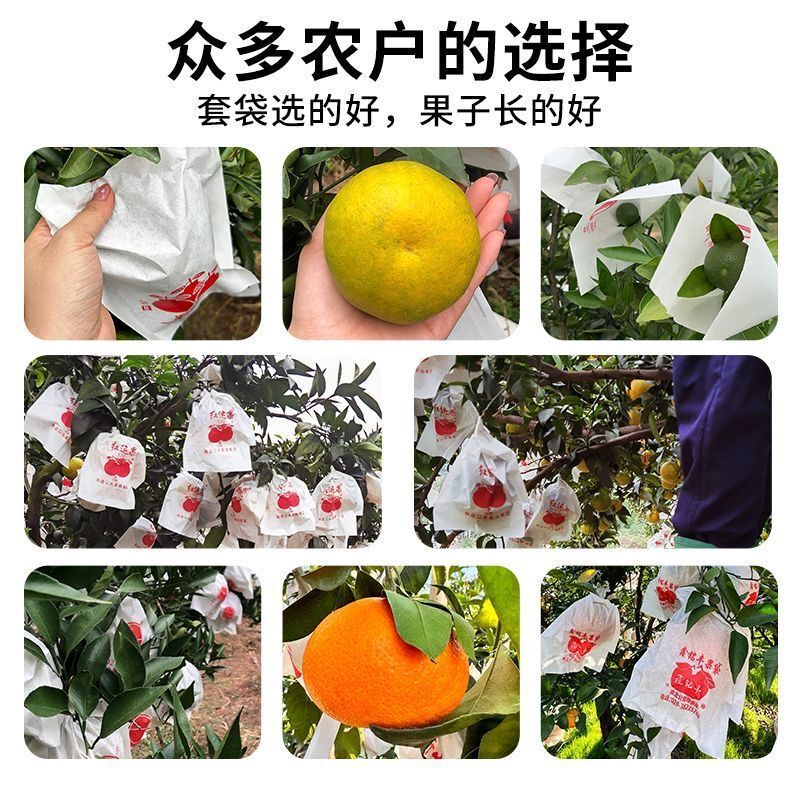 柑橘专用套袋丑柑春见耙柑不知火橘子脐橙红美人爱媛果纸袋包邮|undefined