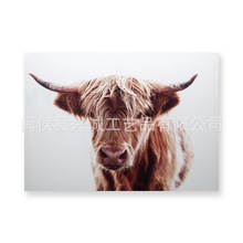 ɳ�l�������b��}���d�\��ˇƷ�Sֱ�N���l����ɳ�l�������b�