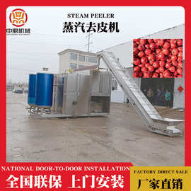 中鼎蒸汽去皮机 红枣西红柿鸡心果加工设备高温爆皮机