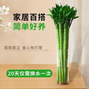 ˮ���Ĳ��񎧸��������}�����F�񎧸��͏d�҃��ļ���������ֲ��