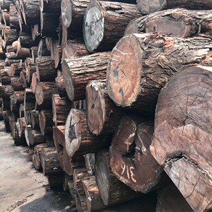 �M�ڷ��޼t�F��ԭľ ���޼t�F���Ҿ߲� ������֦ ����