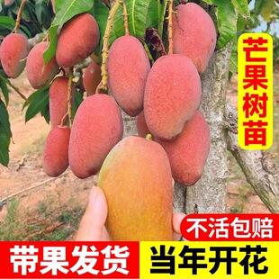 â������޽ӽ��â�ļ�â����䮔��Y��ͥԺ���Թ�������ش�