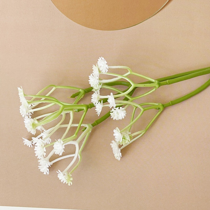 안개꽃 녹색과 흰색