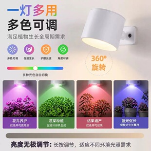 ֲ���a�����늿�ʽ����늟o���b��ģ�M̫ꖹ���҃ȾGֲ�������
