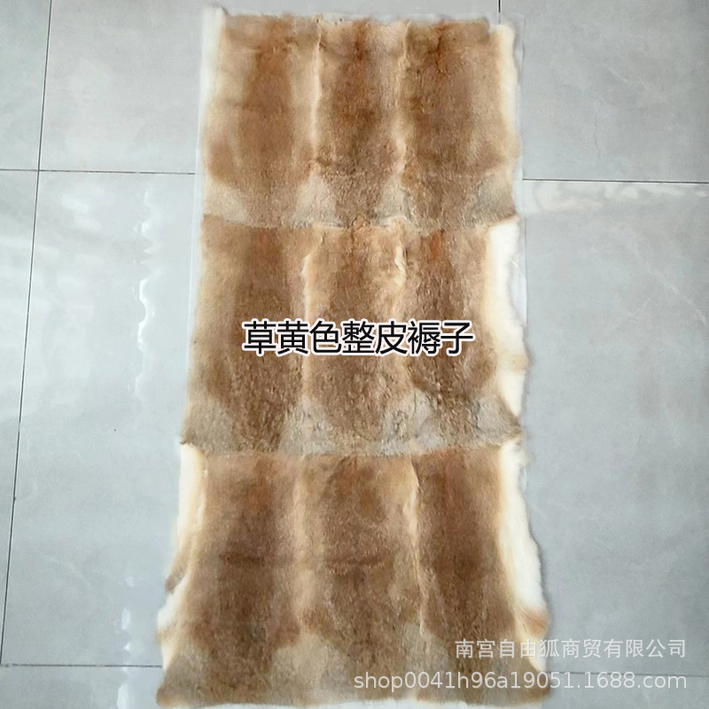 잔디 노란색 잔디 토끼 전체 가죽 접합