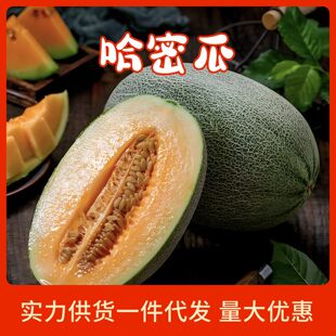 ���տ졿���Ϲ��ܹ�3/5/9���b�������r�r�������������۷��½�