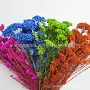 材料花材永生花