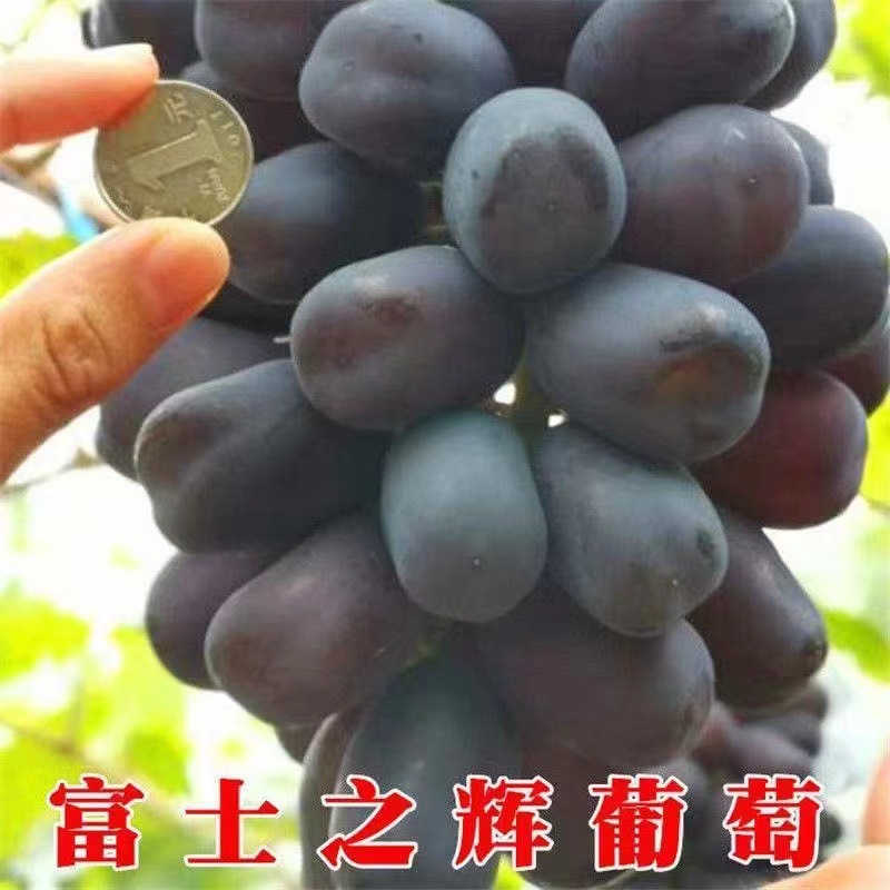 微信图片_20220902145508