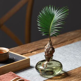 ˮ��ֲ���F�����Բ����������p���҃������k�����B�Gֲ�ļ�ˮ�B