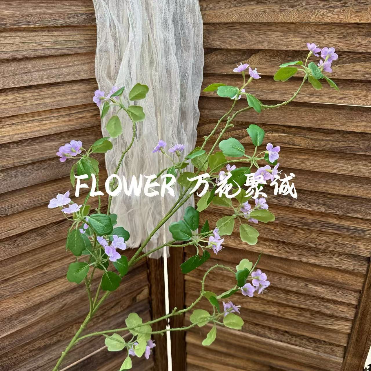 라벤더 퍼플