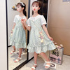 Summer dress, children's summer clothing, fashionable thin set, cute skirt, suitable for teen, western style, floral print