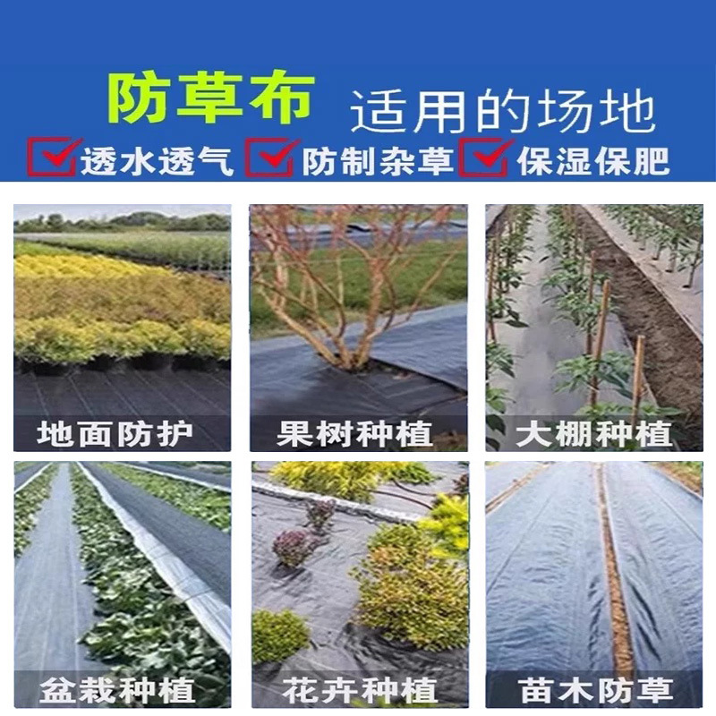 防草布3