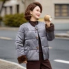 2610 gray top (without fur collar)