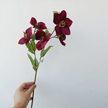 �����ÿ� �Ƽtɫ�}�Q  �p⏲� diy �[�Ž��Ļ��k������@ˇ����ֲ