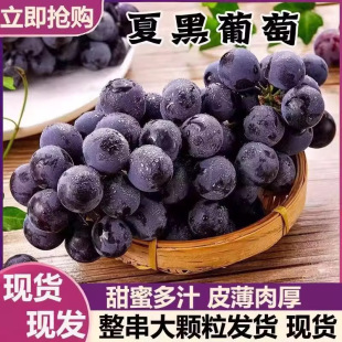 ���r����ĺ����џo�ѹ��@ˮ��������2025���ЬFժ�a����ֱ�l