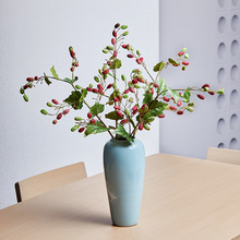 @Lɣع֦ݮˇ[Ҿbֲ쾰zӰ